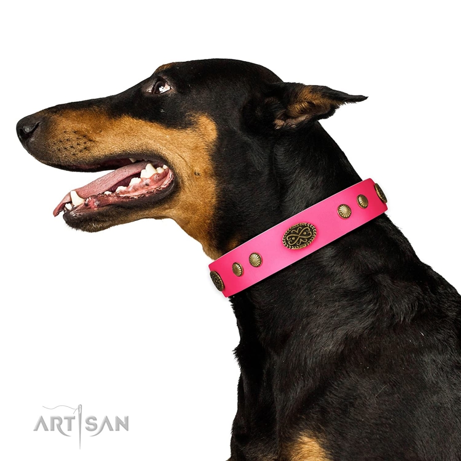 Doberman Dogtra Collar
