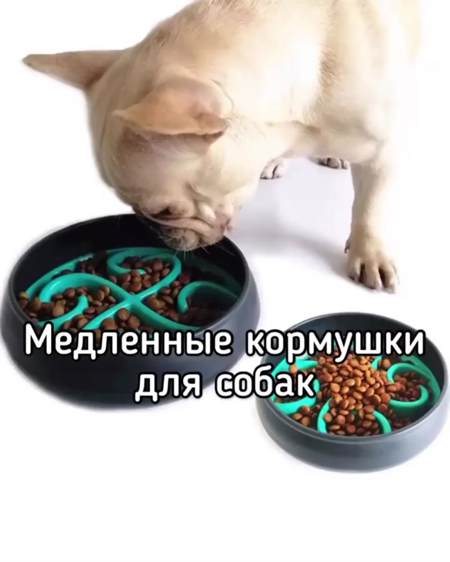 Миска для собак для медленного