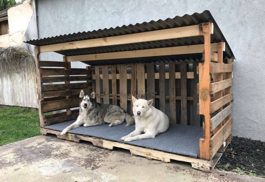 Навес для собаки