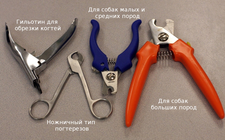 Схема подстригания когтей
