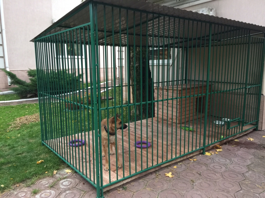 Вольер для хаски