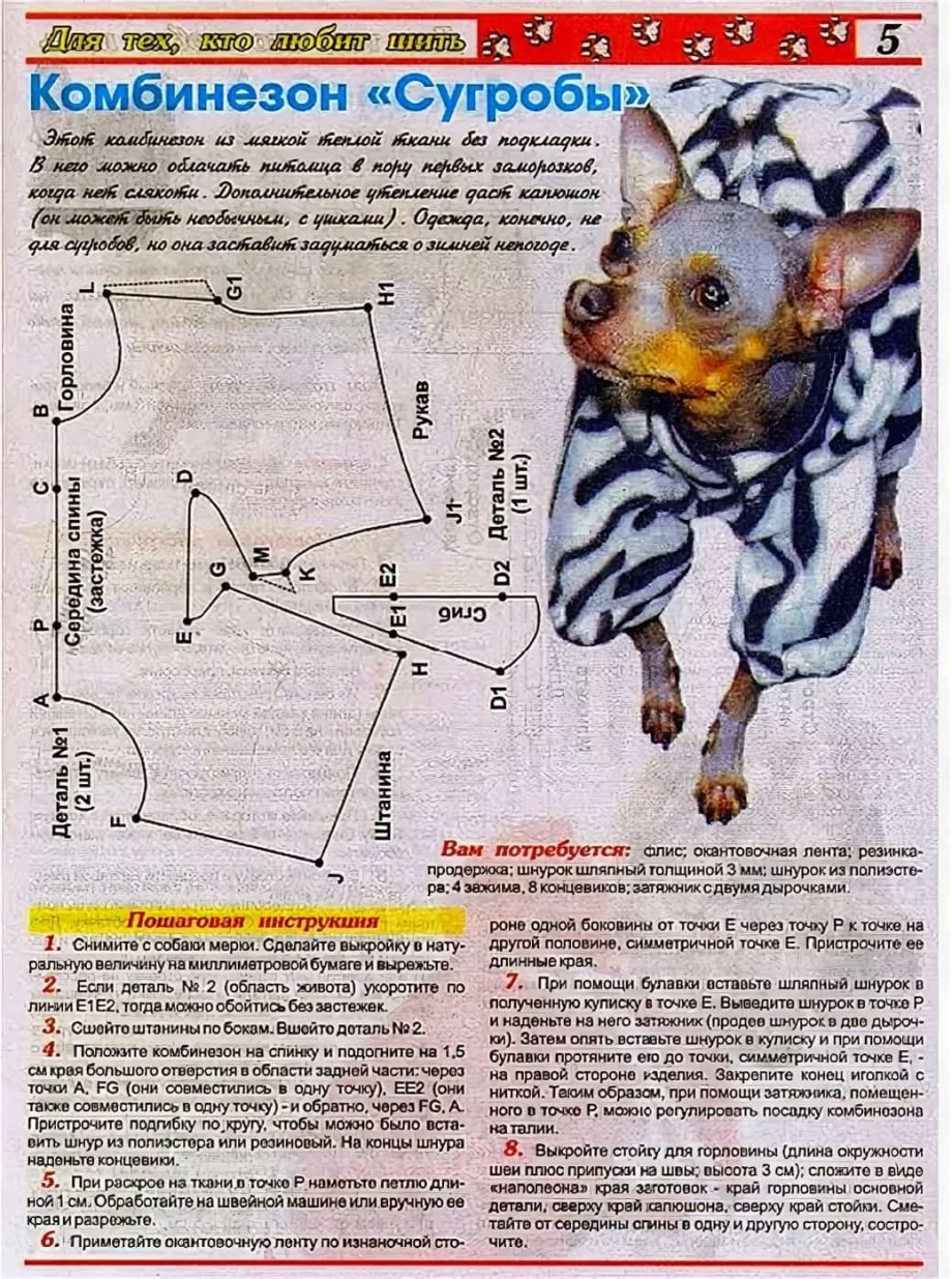 Выкройка комбинезона для собаки той терьера
