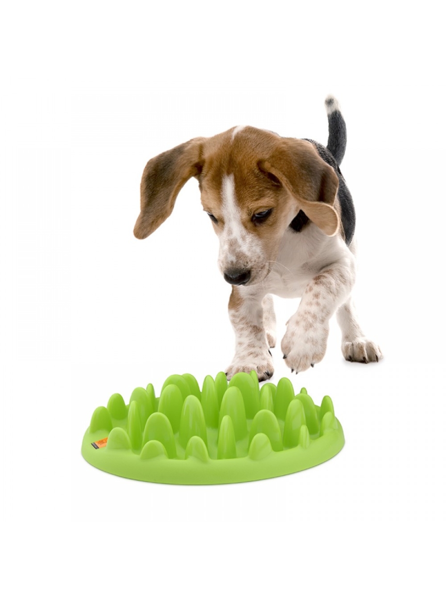 Миска интерактивная Northmate "Green Mini"
