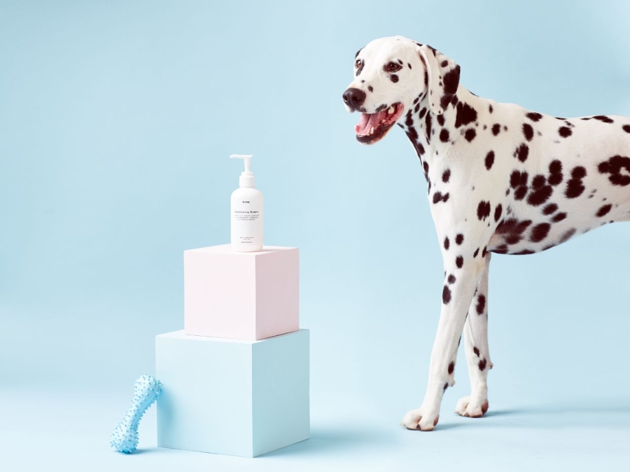 Dog Milk
