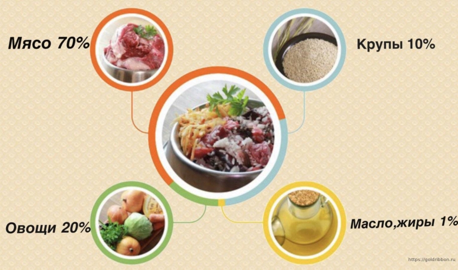 Щенок кушает