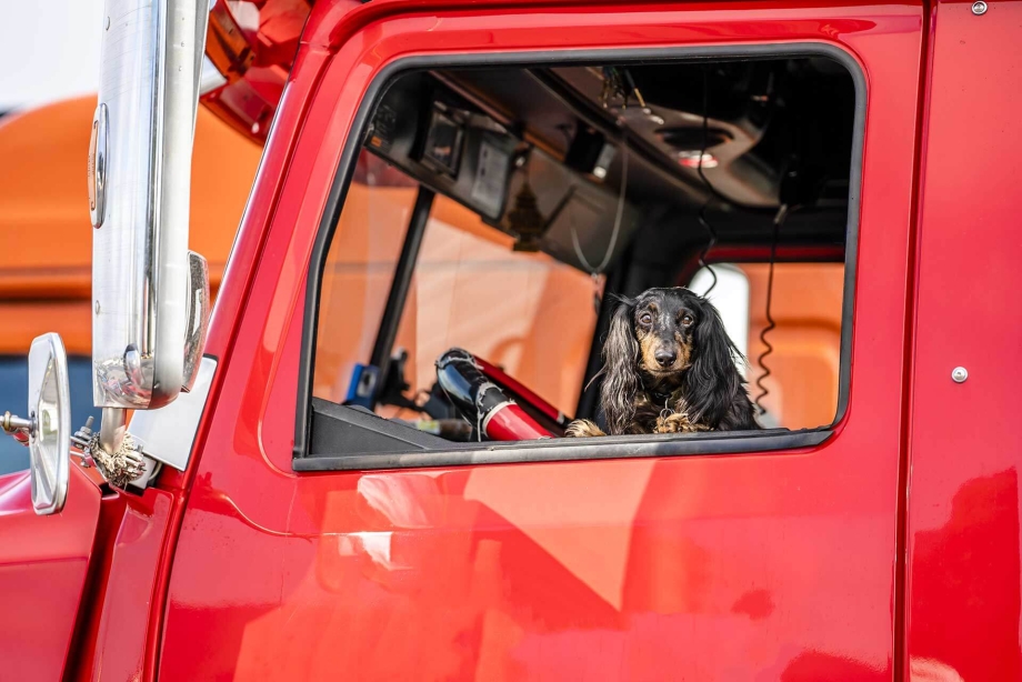 Truck Drivers Team