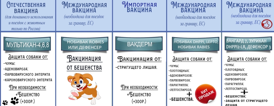 Прививка для собак таблица