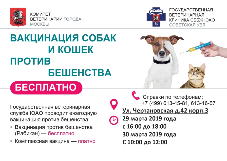 Прививки собакам в Текстильщиках