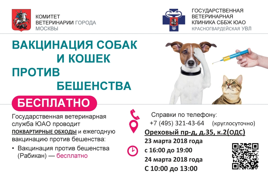 Пес привит Здравствуйте