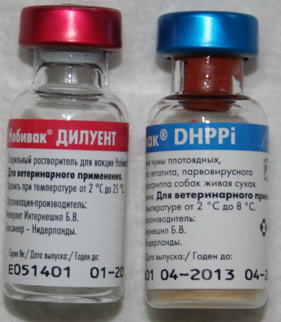 Первая вакцинация щенка