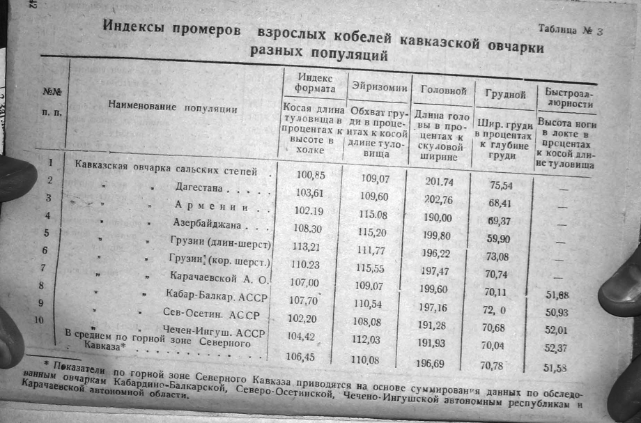 Вес щенка кавказской овчарки в 2 месяца