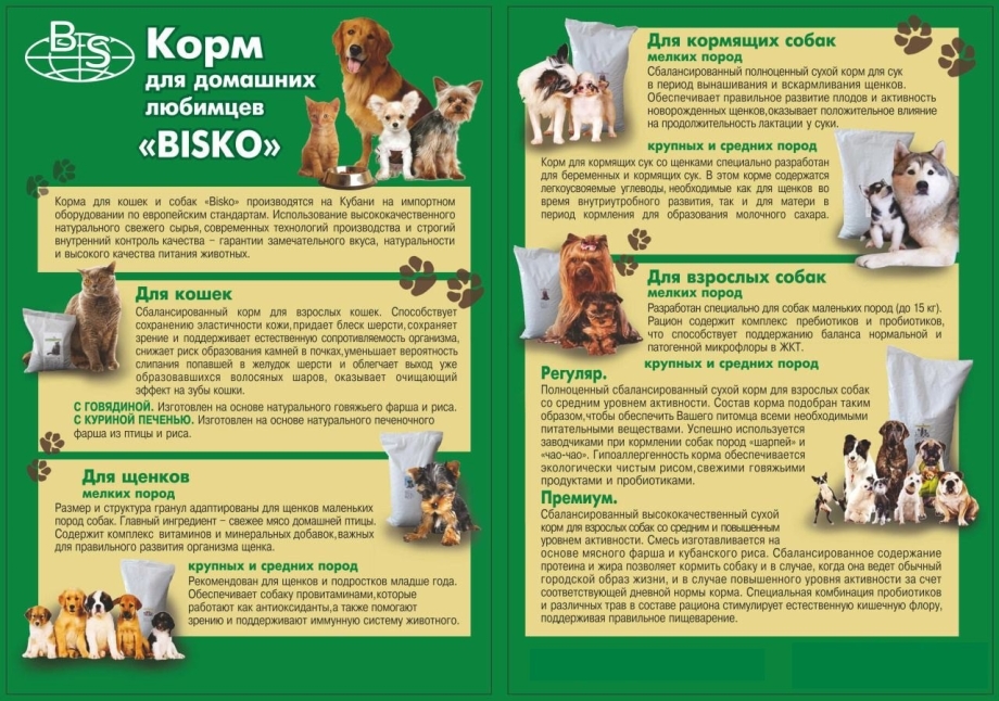 Корм для собак инфографика