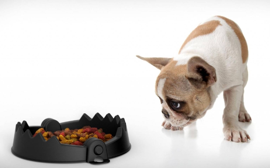 Purina one для щенков средних пород