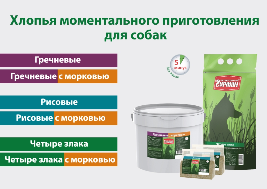 Мопсы с едой