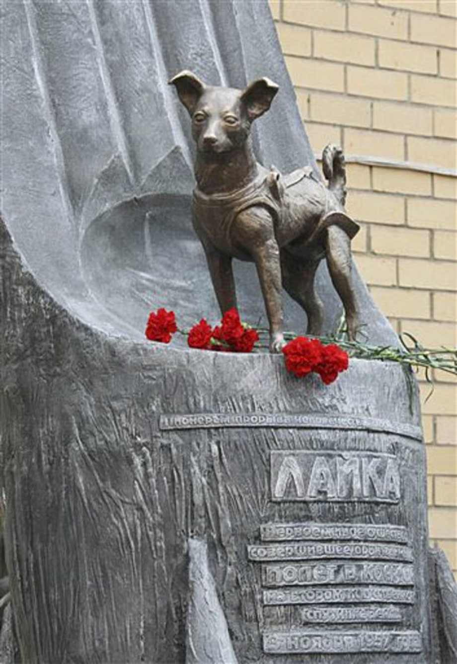 Памятник собаке космонавту лайке в Москве