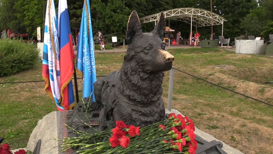 Памятник собакам истребителям танков в Волгограде