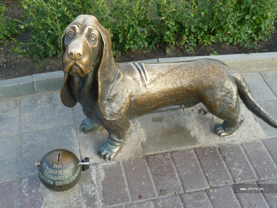 Памятник пес Бобка Кострома
