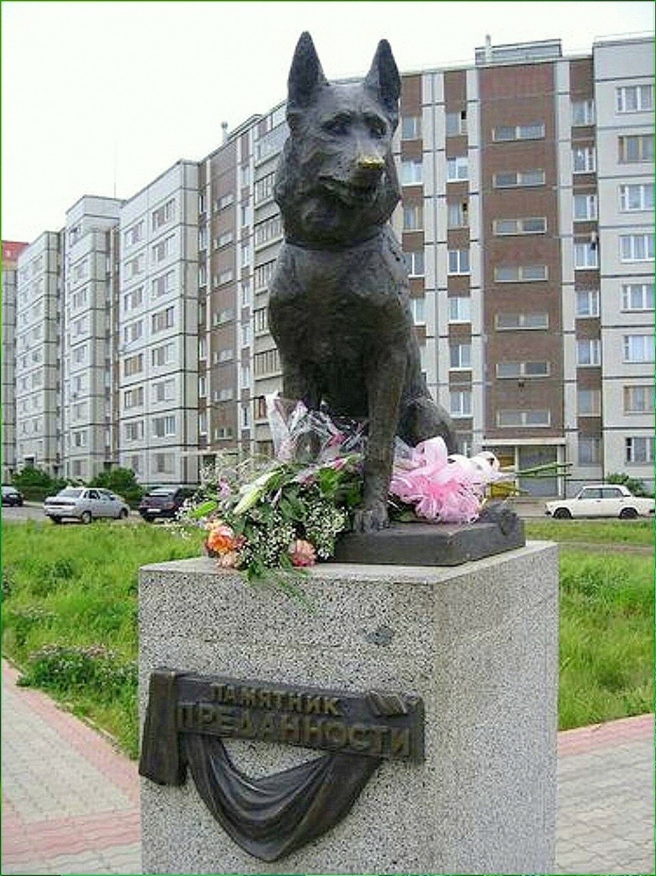 Памятник псу в Тольятти