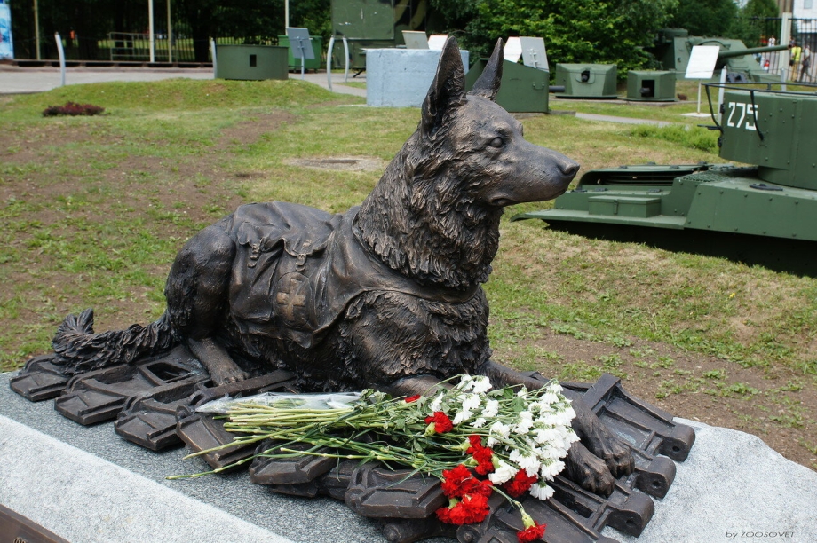 Памятник фронтовой собаке в Москве
