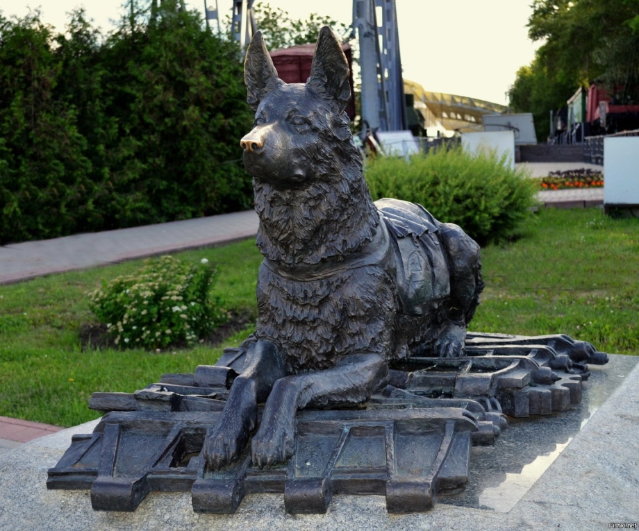 Памятник собаке на Поклонной горе в Москве