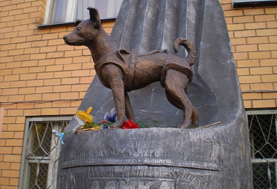 Памятник лайке космонавту в Москве
