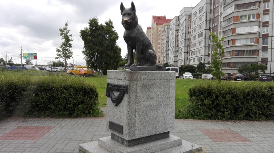 Памятник верному псу Тольятти
