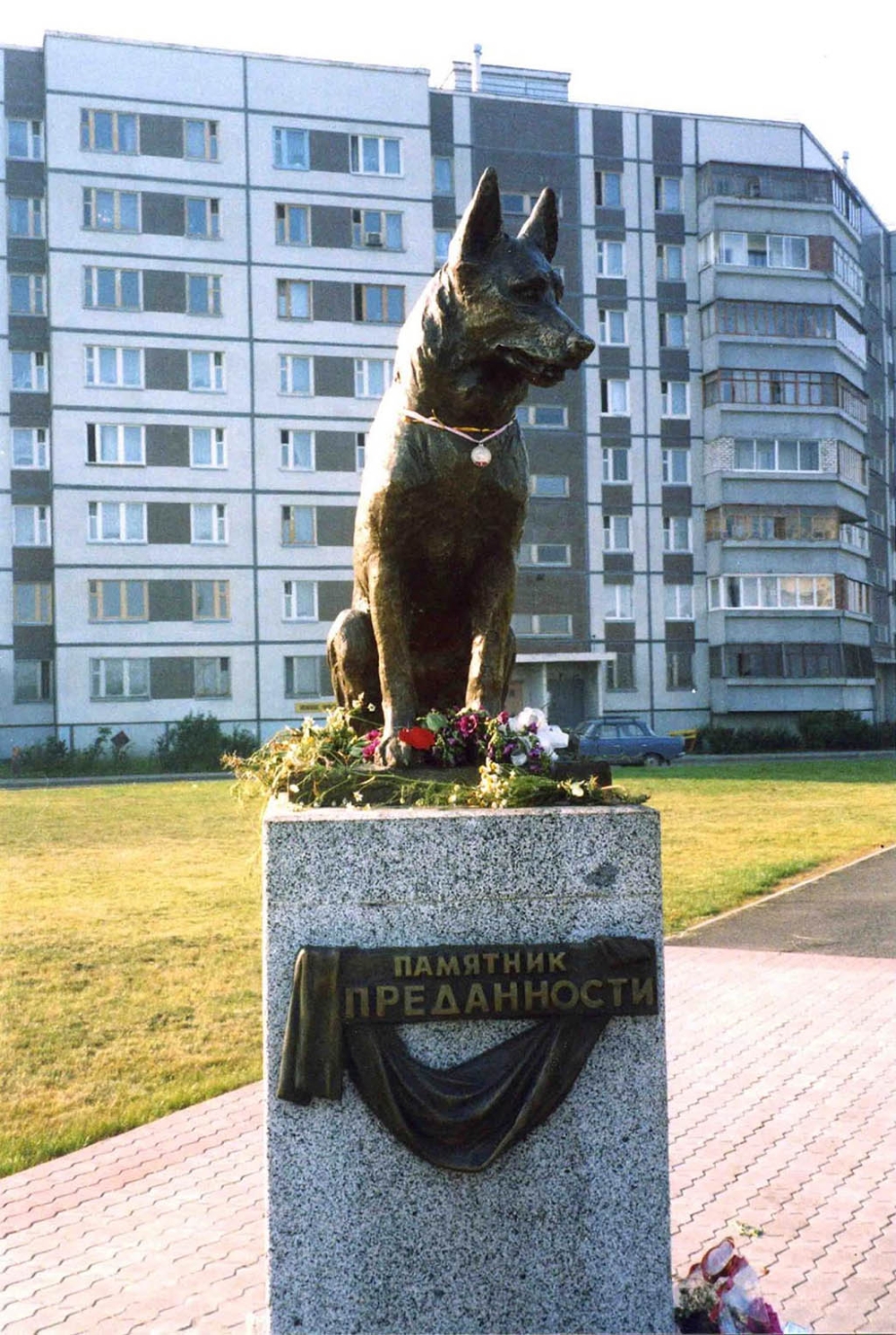 Памятник псу в Тольятти