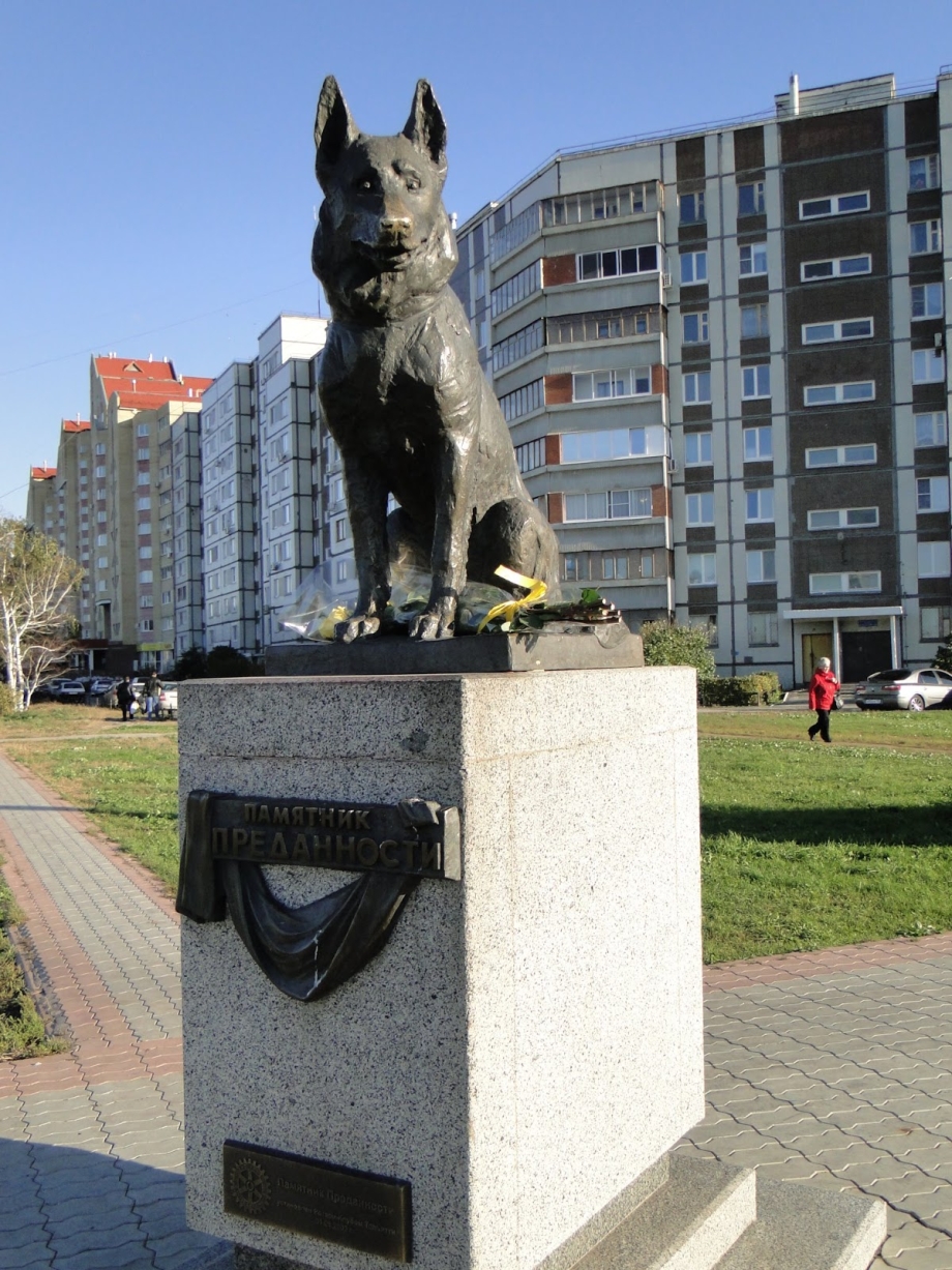 Памятники собаке в городах. Памятник верному псу Тольятти. Памятник преданности в Тольятти овчарка. Памятник верность псу в Тольятти. Тольятти памятник собаке в Тольятти.