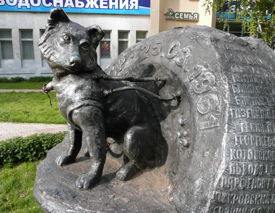 Собачка Звездочка памятник Ижевск