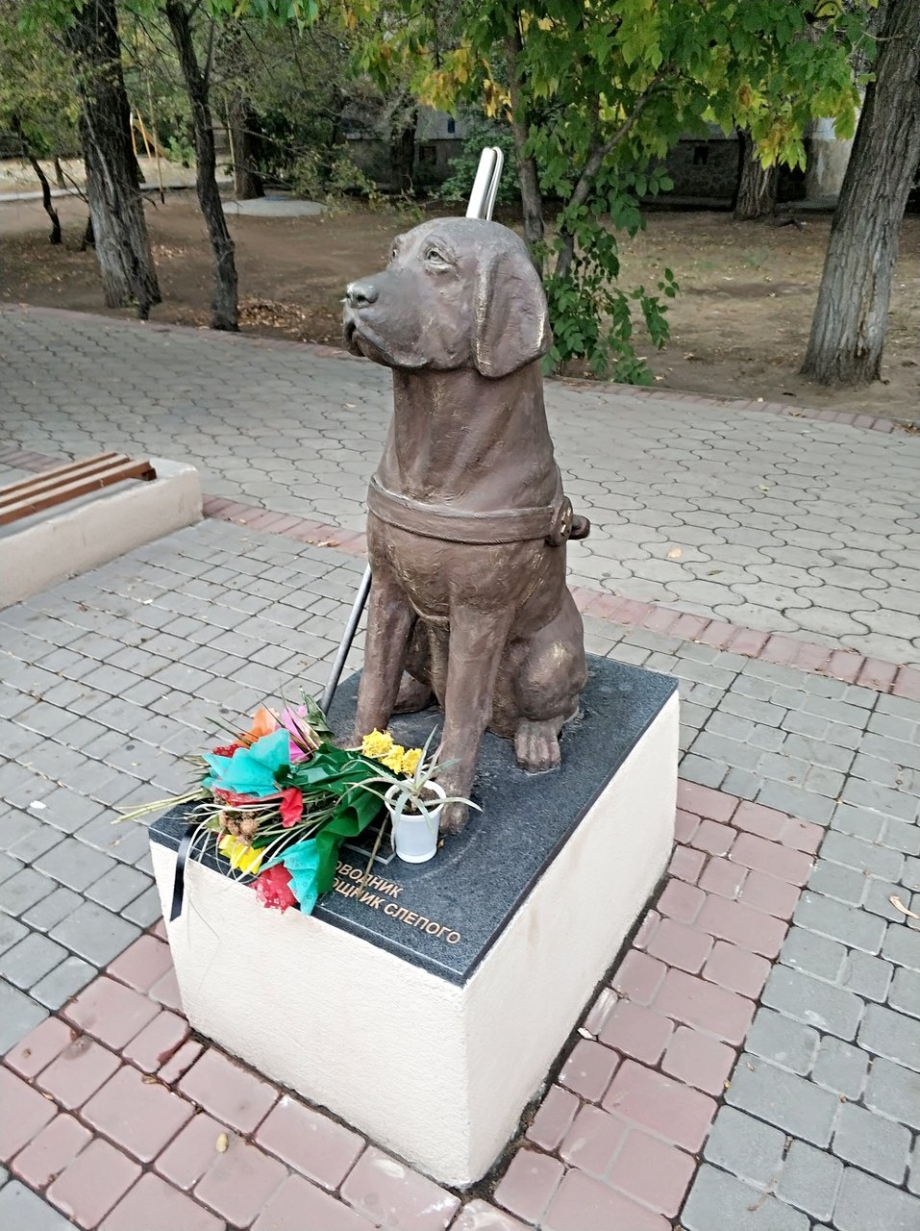 Памятник собаке поводырю