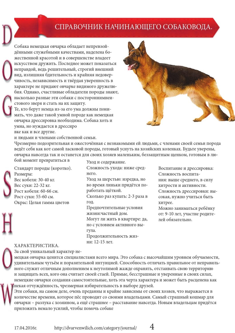 Немецкая овчарка щенок Роял