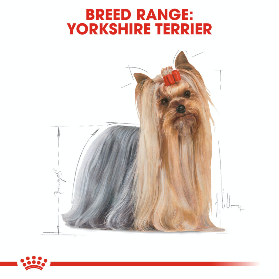 Корм RC bhn Yorkshire Terrier Adult 7.5