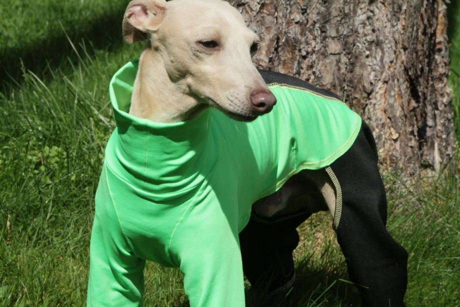 Зимний комбинезон Osso Fashion