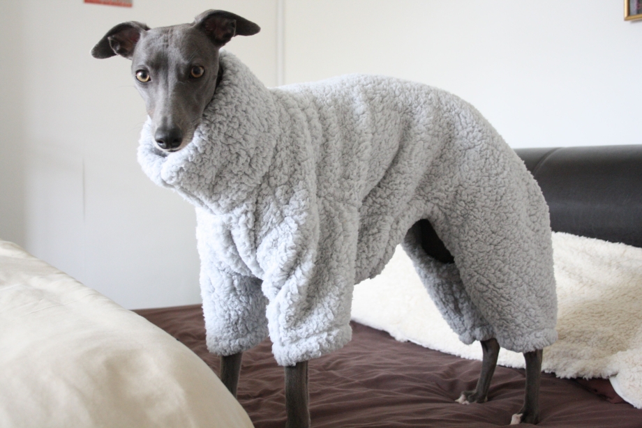 Шлейка прогулочная Husky