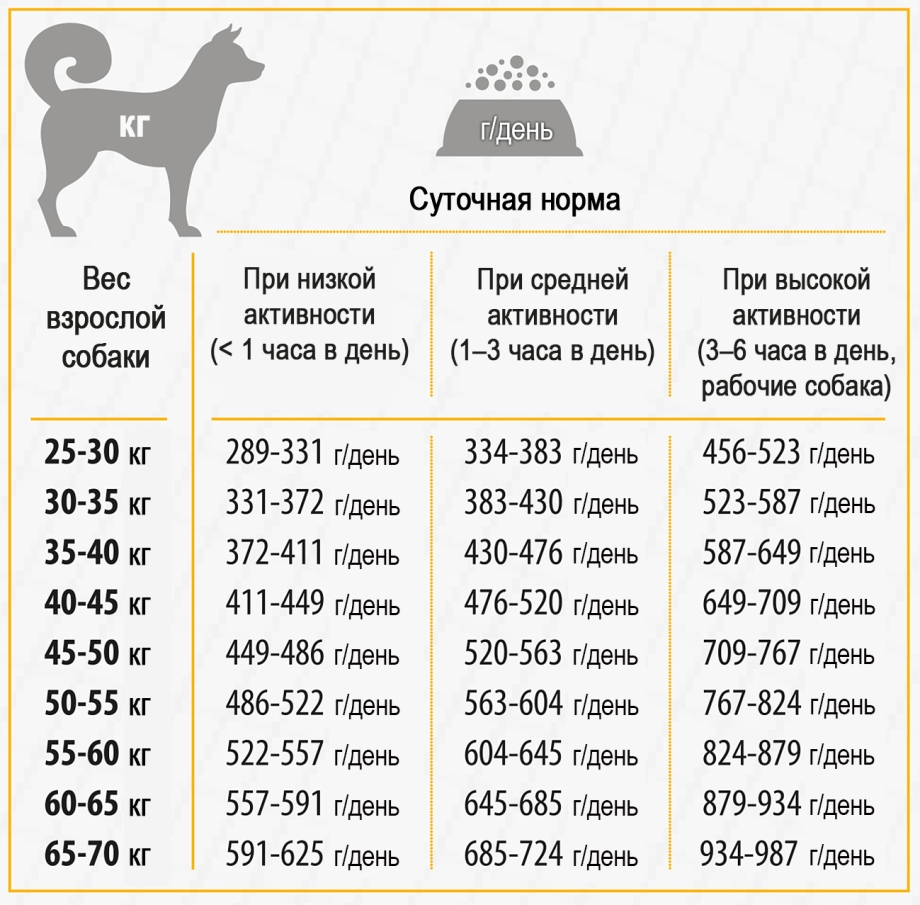 Рацион питания немецкой овчарки взрослой (62 фото) - картинки sobakovod.club