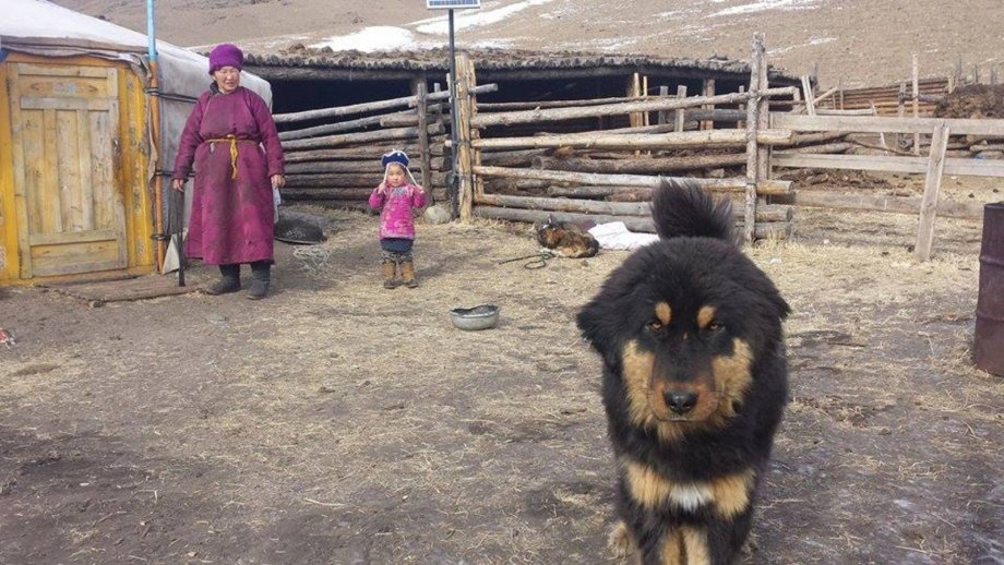 Банхары в Монголии