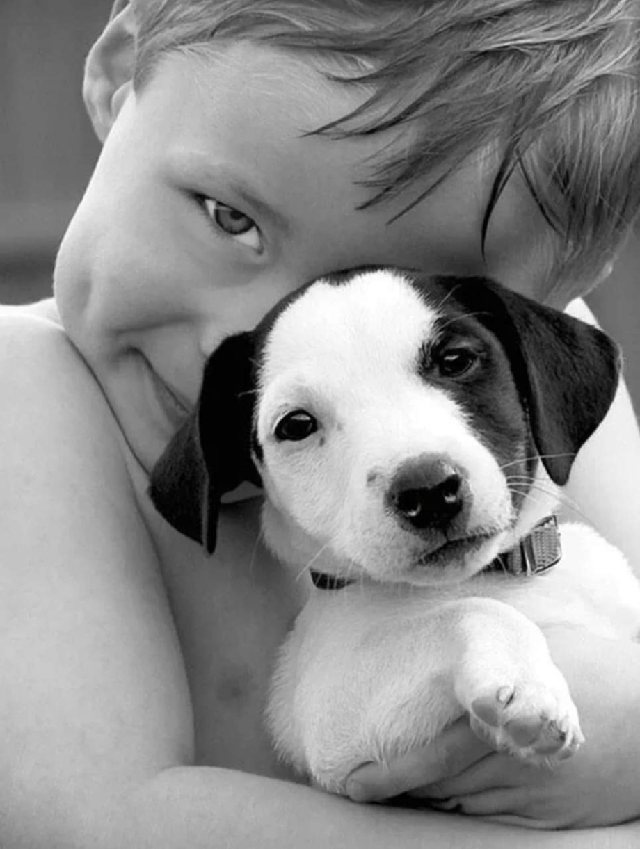 Мальчик держит собаку. Для детей. Животные. Собака для детей. Маленькие дети и животные. Домашние животные для детей.