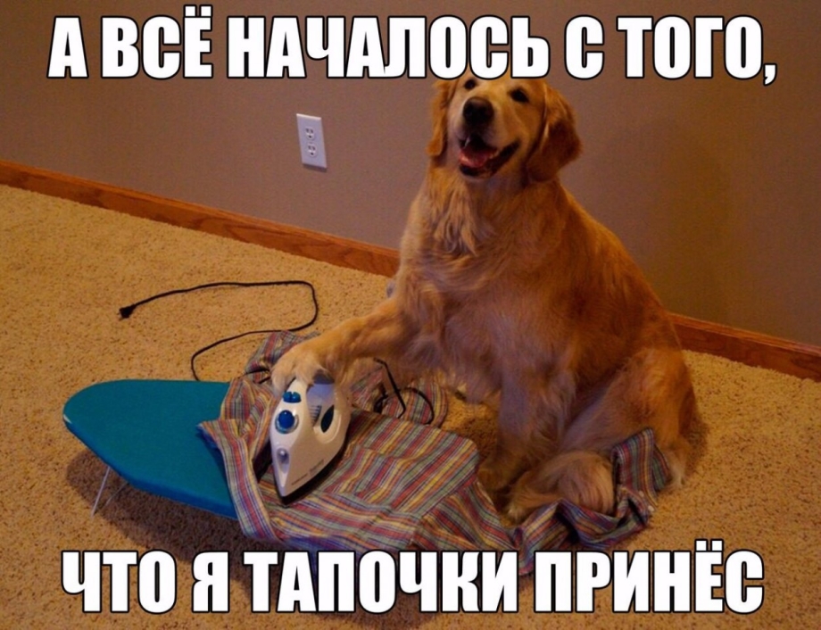 Инициатива Мем
