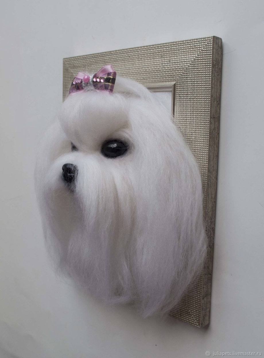 Pet Baronet одежда для собак