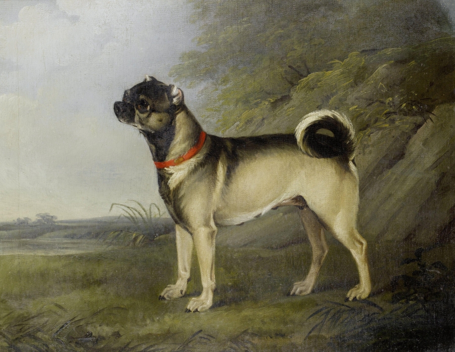 Henry Bernard Chalon