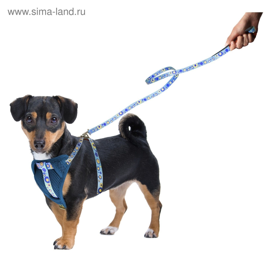 Поводок+шлейка XS голубой