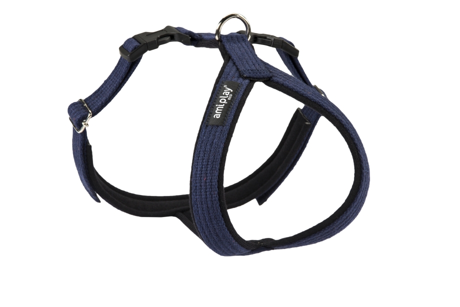 Шлейка Arnydog синяя, l (63cm)