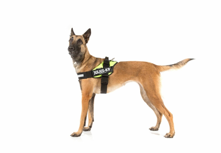 Julius-k9 шлейка для собак IDC -Powerharness