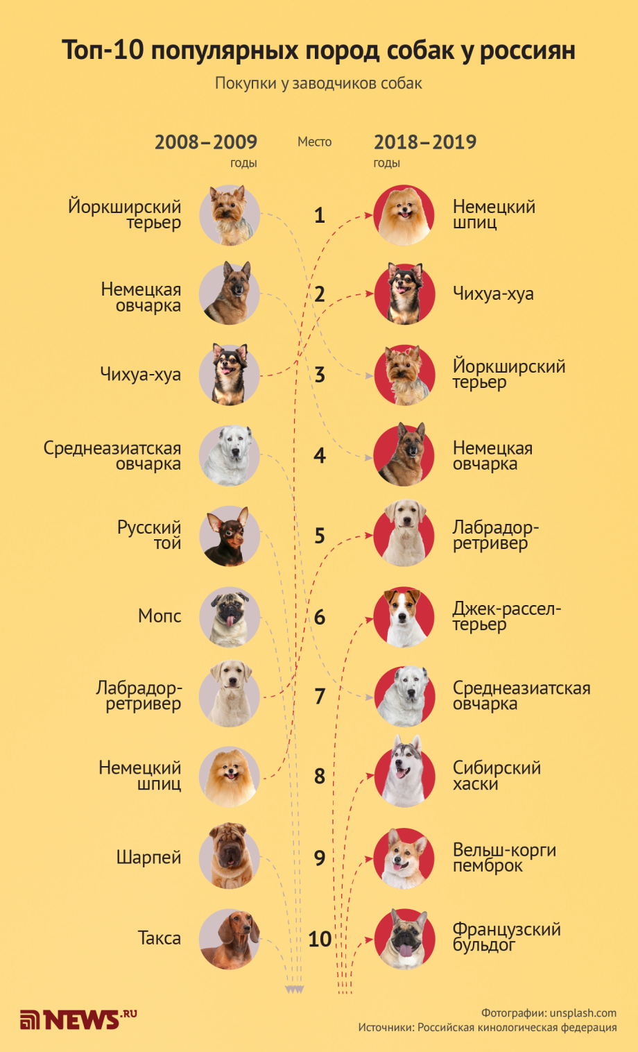 Рейтинг популярности пород собак