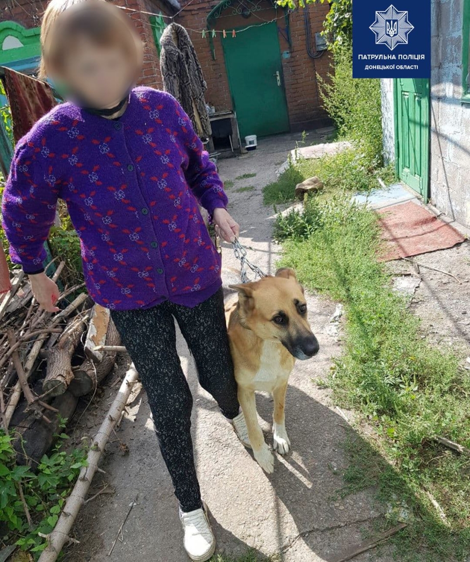 Собака в общественном месте