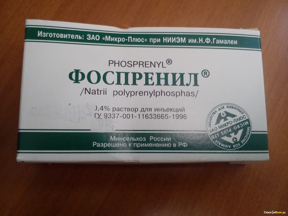 Выросты у животных бородавки грызунов