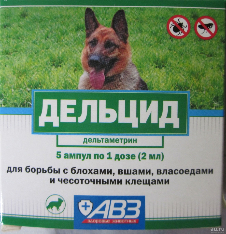 Пироплазмоз Ветеринария