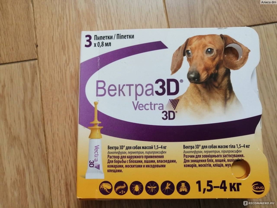 Пироплазмоз собак Ветеринария