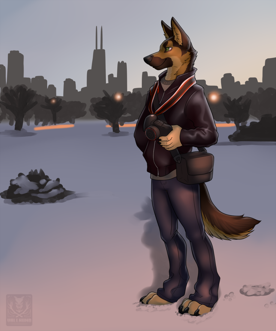 Немецкая овчарка furry