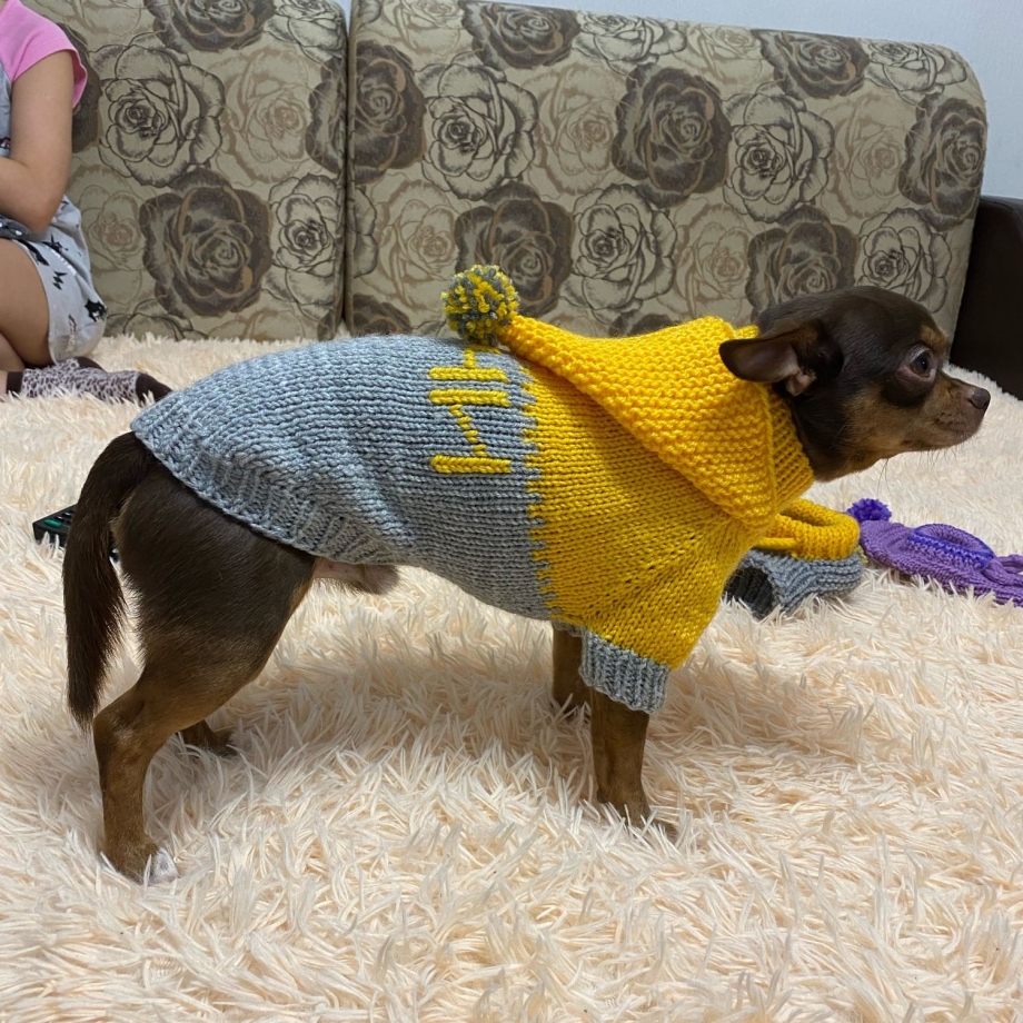 Arnydog одежда для собак